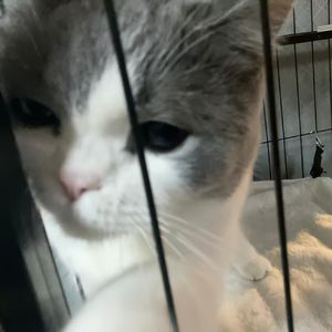 s̑̈ȃ̈d̑̈ ᴅᴀʏ̆̈