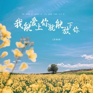 我能爱上你就能放下你 (DJ版)