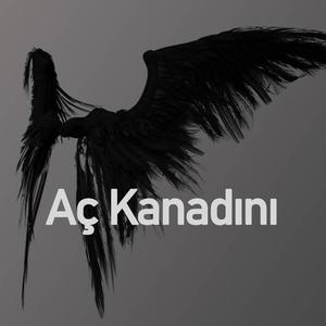 Aç Kanadını