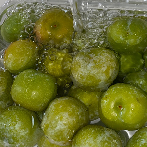 年轮（cover版）