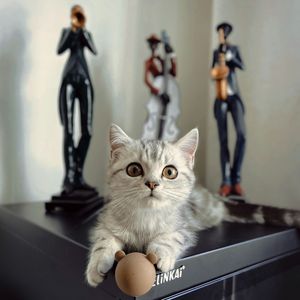 失败是一次舒适的停顿