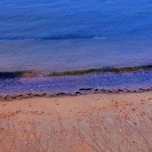 Nobody Listen To Techno(NLTT)