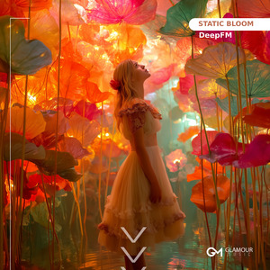 Static Bloom