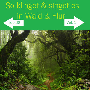 Zwischen Wäldern und Seen