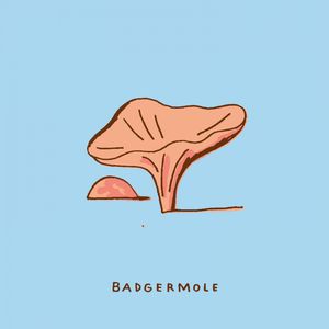 Badgermole