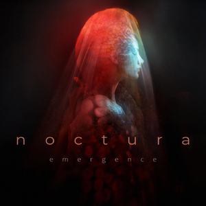 Emergence