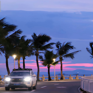 凌晨三点的海棠花未眠