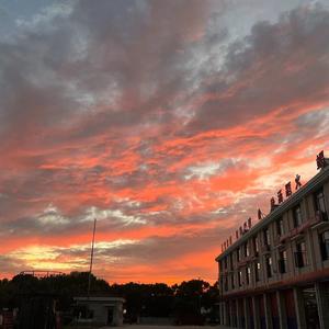 成人（翻自 吴垚滔）