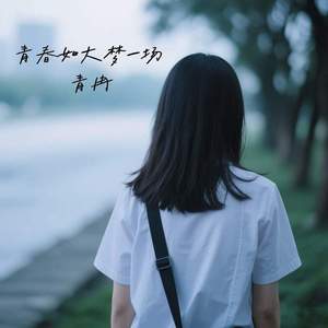 青春如大梦一场 (伴奏)