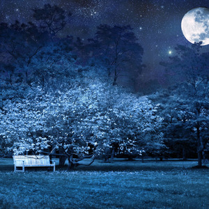 星之所在（口琴版）（Cover う～み）