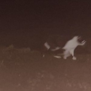 chill(Prod.SSR Studio)