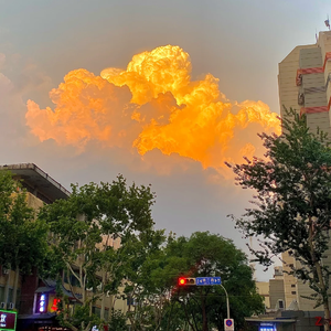 天下的乌鸦一般黑