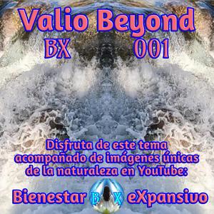 BX 001 Abriendo canales