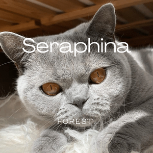 Seraphina
