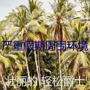 一尘不染假期印象数