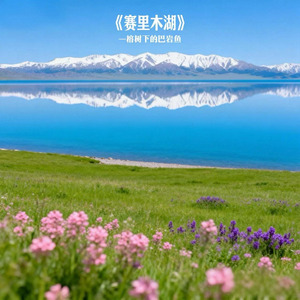 美丽的赛里木湖