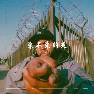 杀不杀的死？Ft.押韵的九块钱