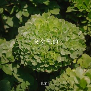 总会来的