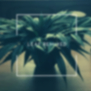 Drivn' (RMX)