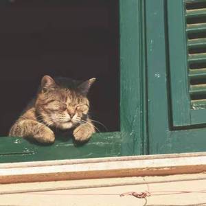 白羊（温柔男声）