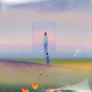 等风起，等花开