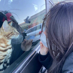 结局后才明白（翻自 乔洋）