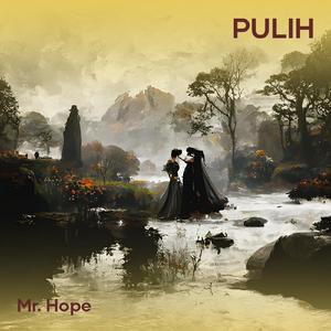 PULIH