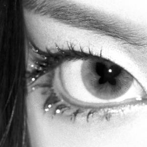 谜冬 Sometimes Never