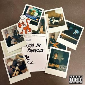 1700 In Pineville (feat. paco3eyes)
