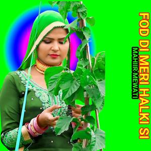 FOD DI MERI HALKI SI