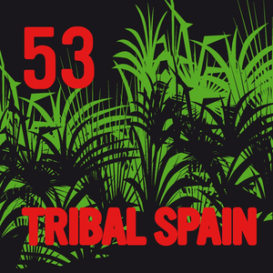 Soludeks 2010 (Danny Leblack Remix)