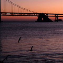 别让生活的压力挤走快乐