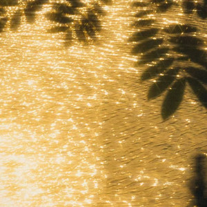 回头望故乡 郑畅业