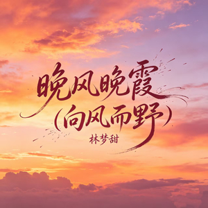 晚风晚霞（向风而野）