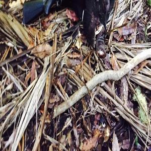 IM LETTIN THE HOLDERS OFF THE HOOK