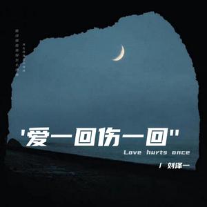 爱一回伤一回