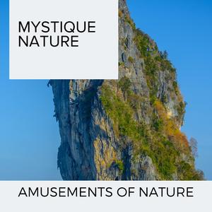 Spring Birds Over Forest Fire