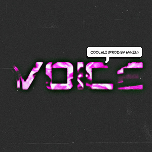 Voice