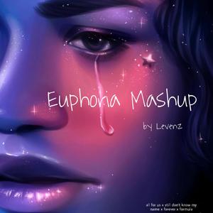Euphoria Mashup 亢奋串烧（LEVENZ remix）