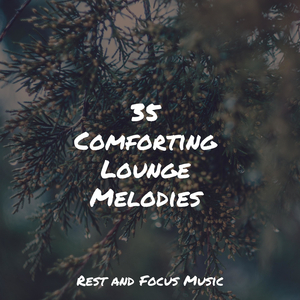 Free Perceptive Laziness