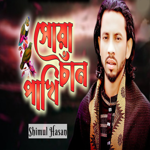 সোয়া চাঁন পাখি