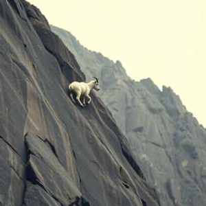 負けるな。わたし。