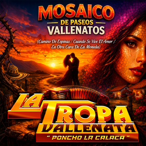 Mosaico De Paseos Vallenatos (Camino De Espinas / Cuando Se Vive El Amor / La Otra Cara De La Moneda)