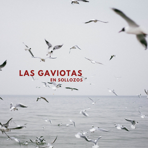 Las Gaviotas
