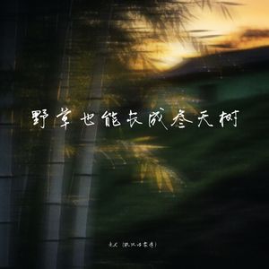 野草也能长成参天树 - 老K（铁汉唱柔情）