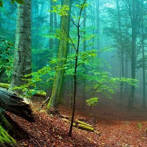 Ap Kahan Meri Zaat Kahan