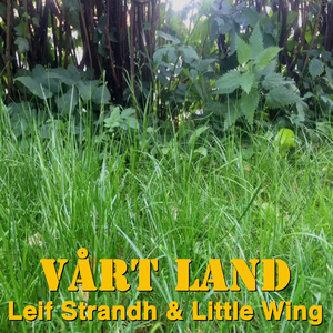 Vårt land