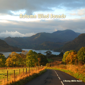 맑은 가을공원에서 담은 바람소리