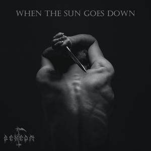 When The Sun Goes Down (feat. Vedrolina & Radu)