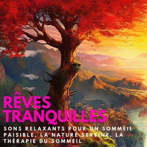 Musique apaisante pour soulager le stress